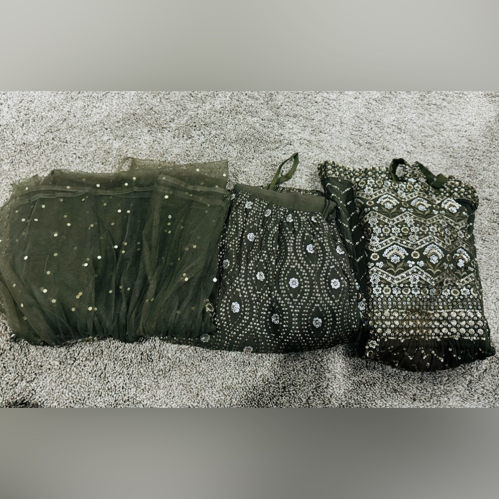 Beautiful Indian/ Pakistani wedding dress with Dupatta.